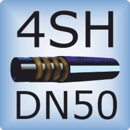 DN50 4SH DIN EN856