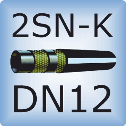 DN12 2SN-K DIN857